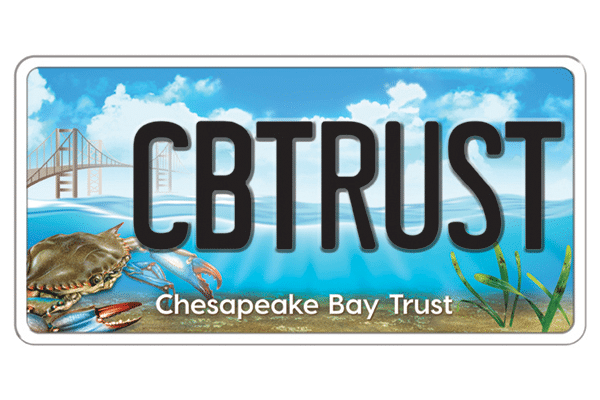 Chesapeake Bay Trust logo